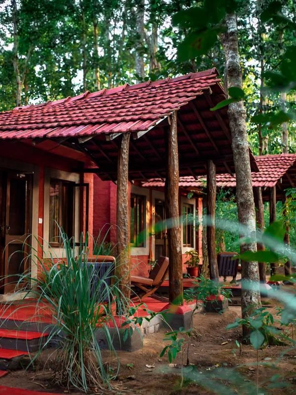 Kanha-Jungle-Lodge-img2 Kanha-Jungle-Lodge-img2